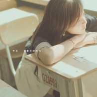 电脑如何免费下载植物大战僵尸杂交版本